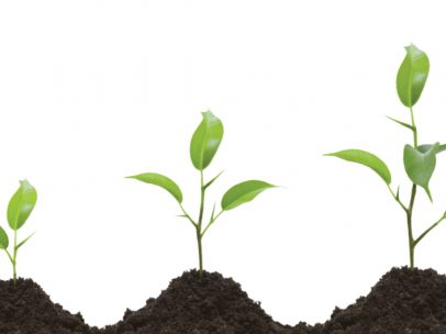 ForeMedia Shares double bottom line Opportunities