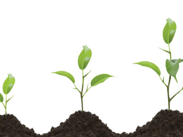 ForeMedia Shares double bottom line Opportunities