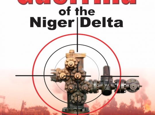 Guerrilla of the Niger Delta