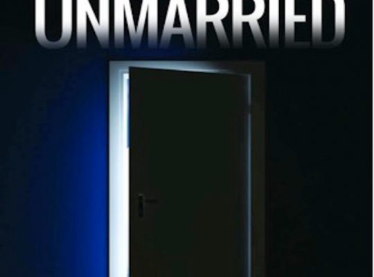 Mrs. Unmarried; Book One in the Ice for Heart Series